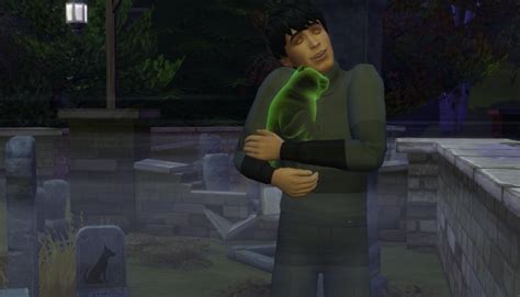 sims 4 ghost cats for adoption.